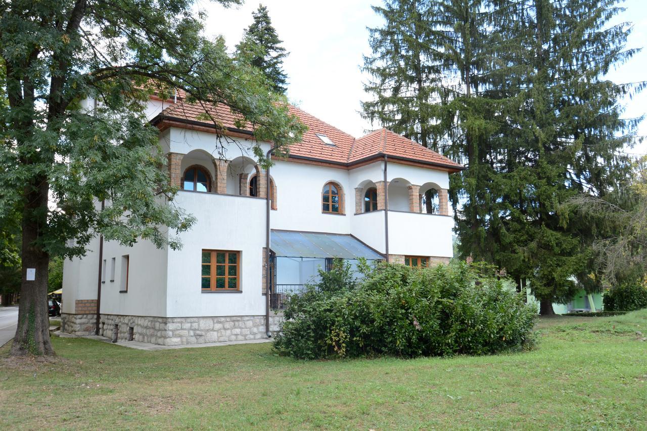 Garni Hotel Vila Drina Perucac Buitenkant foto