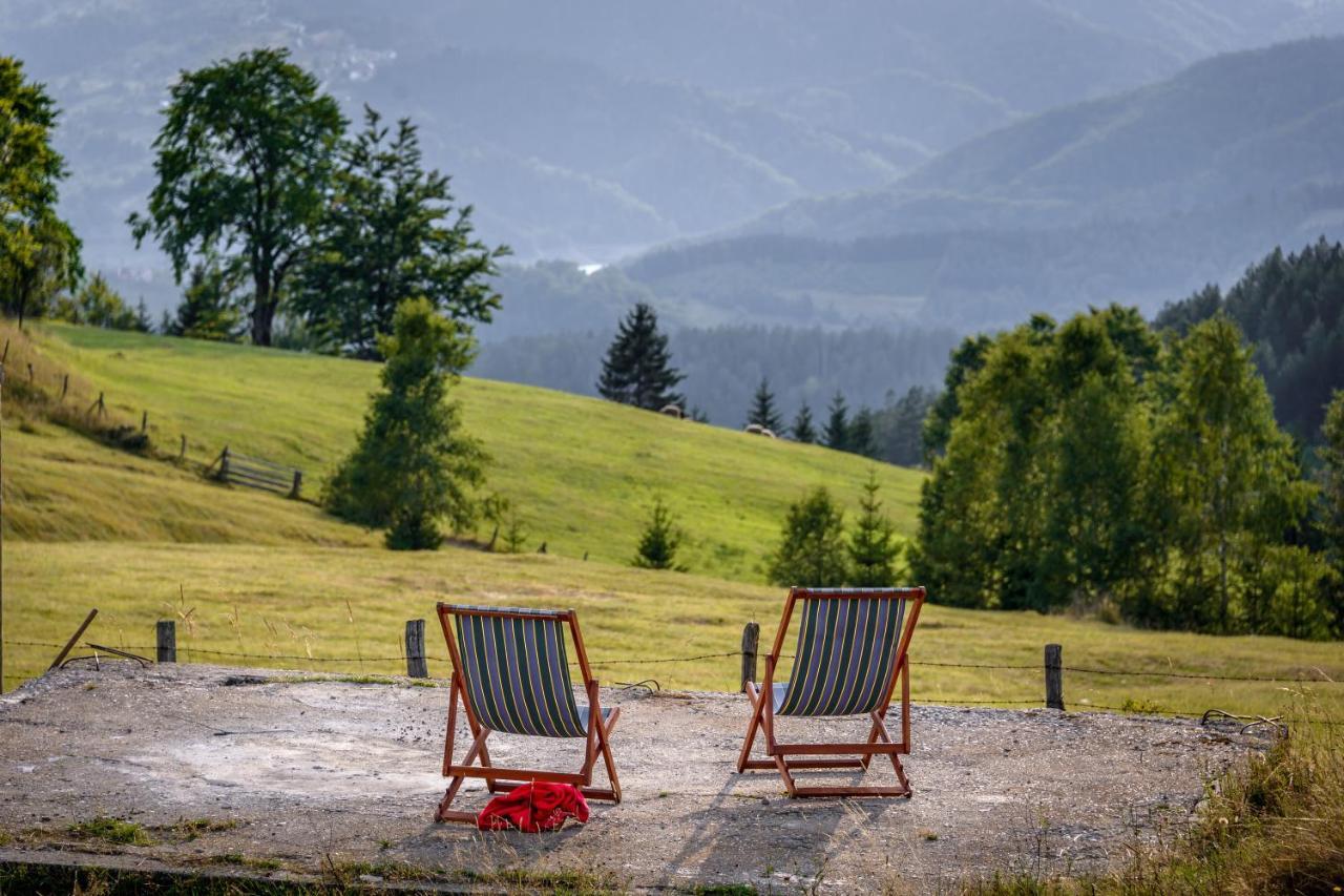 Garni Hotel Vila Drina Perucac Buitenkant foto